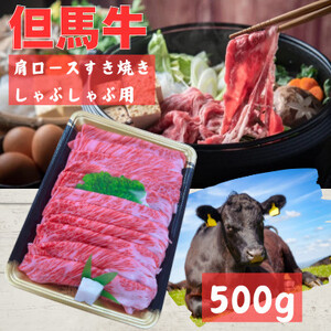 An@[XXCX@(500g)yzsnFzy1072495z