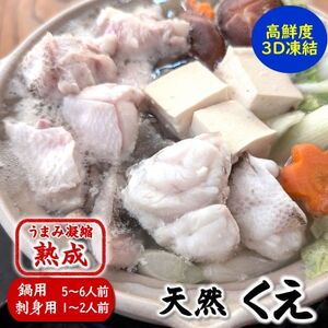 幻の高級魚 天然本クエ鍋用(5-6人前)お刺身用セット 熟成 旨味凝縮 高鮮度3D凍結 大型使用[配送不可地域:離島]