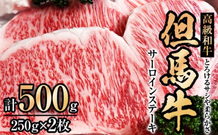 但馬牛サーロインステーキ2枚入り【250g×2】【配送不可地域：離島】【1098414】