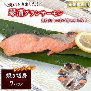 国産とっとり琴浦グランサーモン焼いときました 焼魚7切 塩焼き 不揃いのため訳あり 個包装 レンチン[配送不可地域:離島]