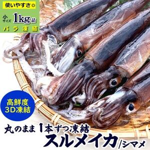 スルメイカ冷凍 1kg 小さいサイズ 訳あり 家庭用[配送不可地域:離島]