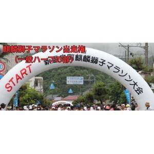 �i�َ��q�}���\���o����(��ʃn�[�t�̕�)�y1694010�z