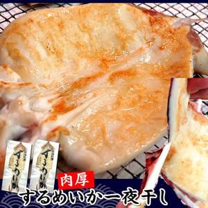 肉厚スルメイカ 一夜干し(大)2枚 個包装 山陰 名産 昔ながらの甘塩するめ 兵庫県新温泉町[配送不可地域:離島]