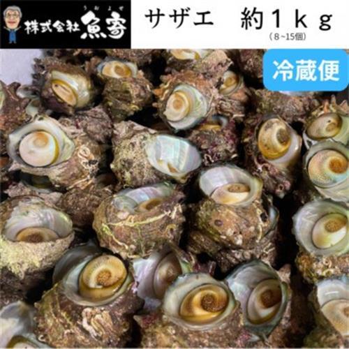 サザエ 約1kg(8個〜15個)[配送不可地域:離島・北海道・沖縄県・東北]