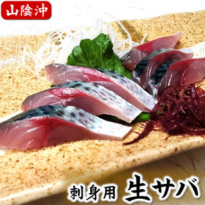 山陰産 生サバのお刺身[配送不可地域:離島]