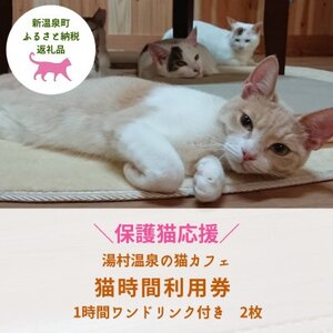 [保護猫応援]湯村温泉の猫カフェ 猫時間の1時間利用券(ワンドリンク付き)2枚