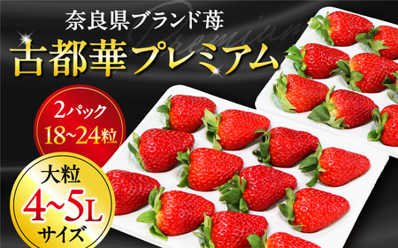 [数量限定]苺 いちご ブランド苺 宝石のような濃いルビー色 古都華 大粒 4L ?5L 9?12粒 2パック 贈答用 苺 甘い苺 ことか フルーツ 果物 イチゴ HJ-05 奈良 なら (2025年1月以降発送)