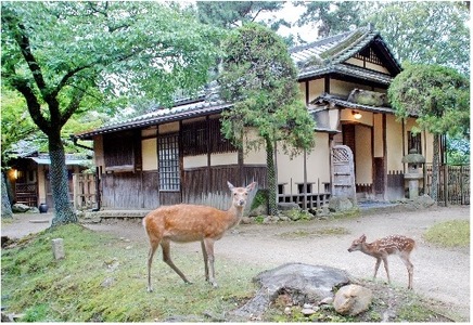 江戸三 1泊2食付宿泊券(2名様1室)