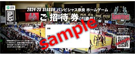 限定グッズ&観戦チケットセット バンビシャス奈良 プロバスケットチーム Bリーグ バスケット 奈良県 奈良市 なら 25-004