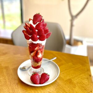 古都華パフェXL&ドリンクセットクーポン Very Berry Cafe 株式会社 明日香園芸10-085