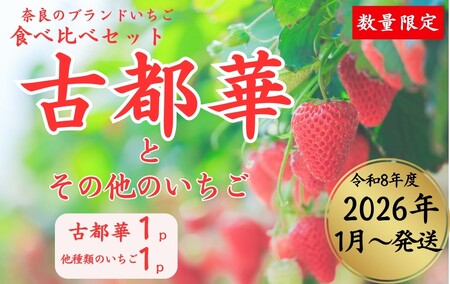 奈良のブランドいちご２種（古都華と他１種）食べくらべセット (他１種は、かおりの・珠姫・奈乃華・ならあかり・あすかルビーからいずれか) いちご 苺 イチゴ 奈良県認証 めいとく農園