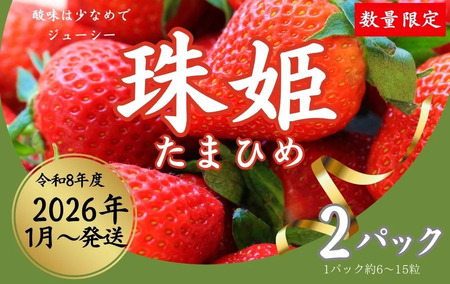 【2026年（令和8年）1月～発送】 いちご 苺 珠姫（たまひめ）×２パック めいとく農園