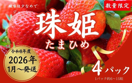  いちご 苺 珠姫（たまひめ）×4パック 甘い 大粒 イチゴ めいとく農園