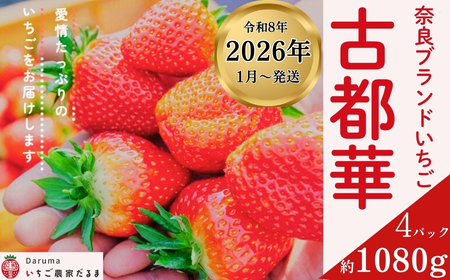 ★★2026年予約販売開始★★【2026年（令和8年）1月～発送】厳選 大ちゃんの 古都華（270g入×4パック）限定出荷 いちご 苺 イチゴ ブランド 古都華 大粒 旬 産地 直送 おすすめ いちご農家だるま 奈良県 奈良市 10-195