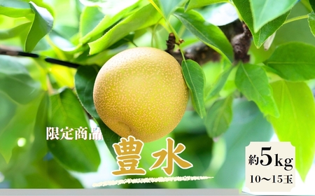 梨(豊水) 約5kg 15-014