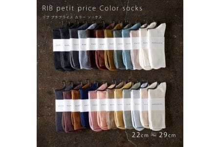 HARUSAKU [ CC ] ハルサク リブカラー ソックス 靴下 10P set　22cm?24cm　12-083