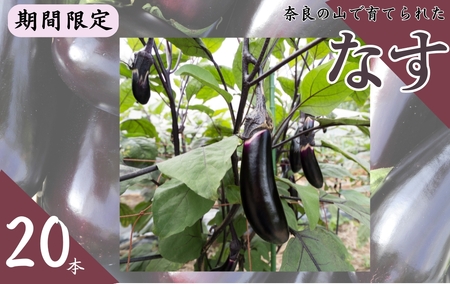なすび 20本 4-166
