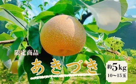 梨( あきづき ) 約5kg 15-015