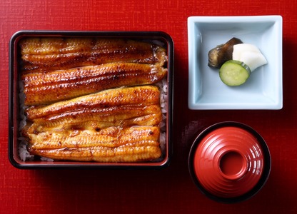 うなぎ うな重一尾 食事券 鰻うな菊 うなぎ