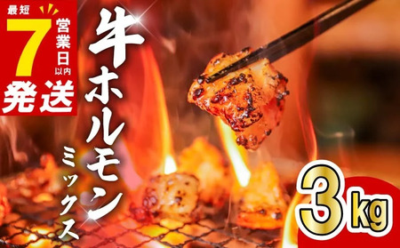 [最短7営業日以内発送]ホルモンミックス 3kg(300g×10P)