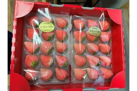 コットンベリー ゆりかーご 約500g(250g×2pc) 15-086