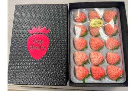 コットンベリー 化粧箱 ギフト用 20-058