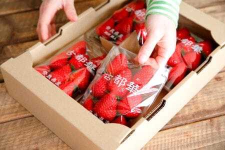 古都華 レギュラー4パック 約1kg(250g×4pc) 15-084