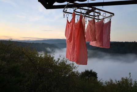 烏梅紅花染め体験 生地染めコース 70-003