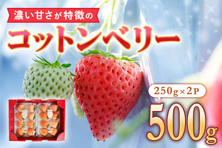 いちご コットンベリーいちご  約500g inn03