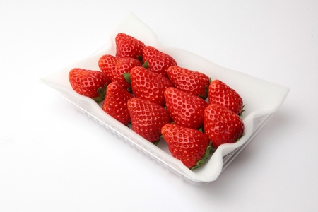 �y2026�N1���`�����\��z�ޔT�؂ƌÓs�؂̃Z�b�g