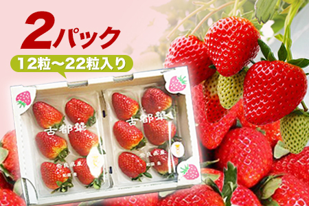 和だや『古都華』260×2パック[大粒]