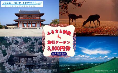 奈良市に泊まるふるさと納税旅行クーポン[3,000円分]