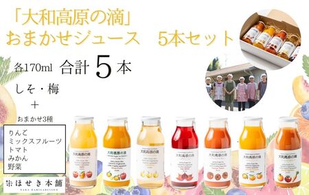 ほせき本舗 「大和高原の滴」おまかせジュース5本セット[hbk001]