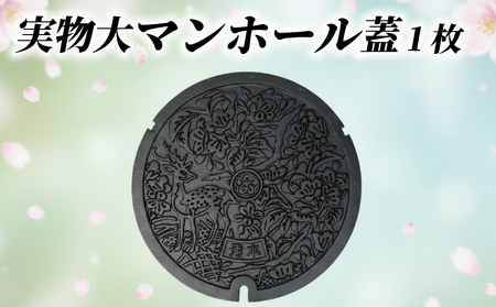 奈良市デザインマンホール蓋[実物]