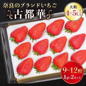 [先行予約]古都華 大粒 1パック×2セット[2027年1月〜順次発送]