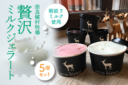 定期便3ヶ月 濃厚ミルクジェラート 5個セット