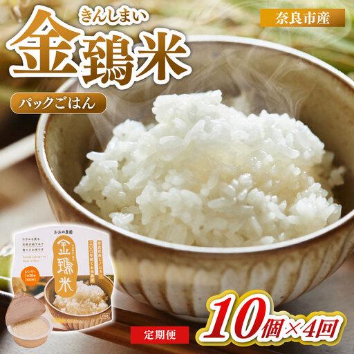 定期便 パックごはん 白米 10個×4回