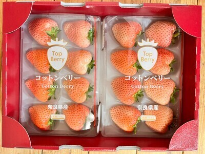 コットンベリー ゆりかーご ２箱 約1000g (250g×4pc)　3～4月発送分　inn16
