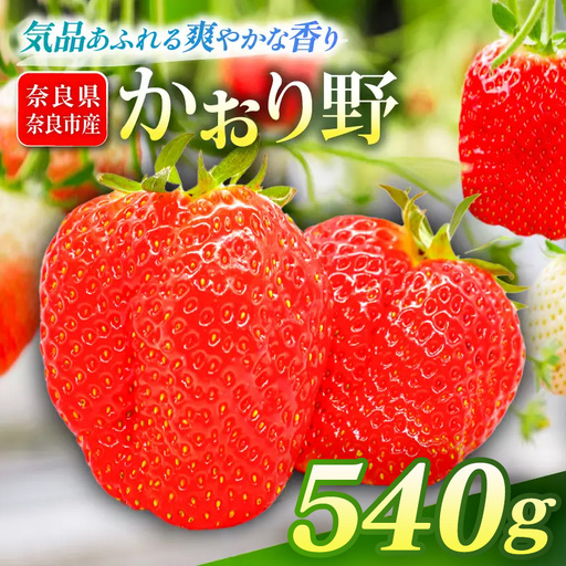 【2027年1月～発送予定】いちご かおり野 約270g×2パック drm005