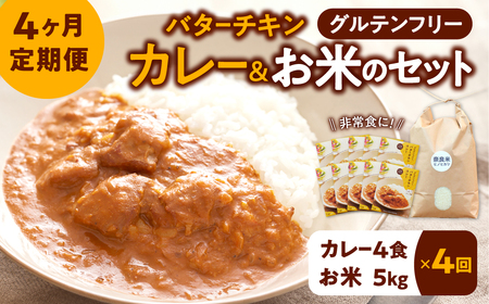 令和6年産 定期便 お米ヒノヒカリ5kg+カレー4袋 ×4回コース グルテンフリー 定期便 バターチキン カレー グルテンフリー バターチキン チキンカレー 奈良県 奈良市 96-001 奈良 なら