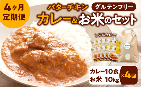 新米 令和6年産 定期 お米ヒノヒカリ10kg+カレー10袋 ×4回コース お試し バランスの良いお米 おいしいお米 210-004