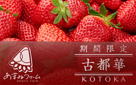 奈良県産[朝摘み・農家直送]高級いちご[古都華] 化粧箱入り(約250g×2パック)_果物・フルーツ いちご イチゴ 苺_[配送不可地域:離島]