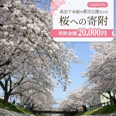 【返礼品なし】高田千本桜や大和高田市内の都市公園などの桜への寄附　1口:20,000円