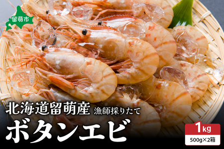 [漁師採りたて 留萌産]ボタンエビ 500g×2