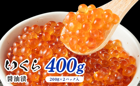 鮭いくら 醤油漬 400g(200g×2P入)小分タイプ いくら