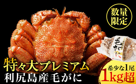 [2025年4月以降発送]利尻島産 毛ガニ プレミアム(1kg以上) 1尾 [利尻漁業協同組]