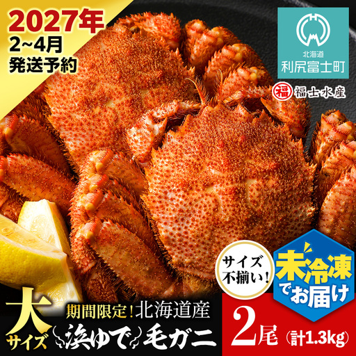 【2027年発送予約】チルドでお届け！ 浜茹で毛ガニ大サイズ２尾（不揃い合計約1.3kg） 〈福士水産〉