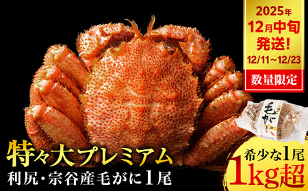 [2025年12月11日〜12月23日発送] 毛ガニ 特々(1kg以上) 1尾 [利尻漁業協同組合]