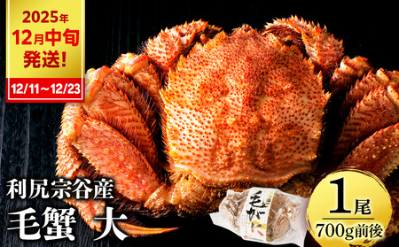 [2025年12月11日〜12月23日発送] 利尻島産 毛ガニ 大サイズ (700g前後)1尾[利尻漁業協同組合]