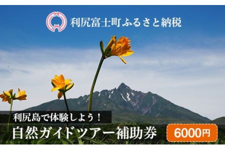 利尻島で体験しよう!自然ガイドツアー補助券(6000円)